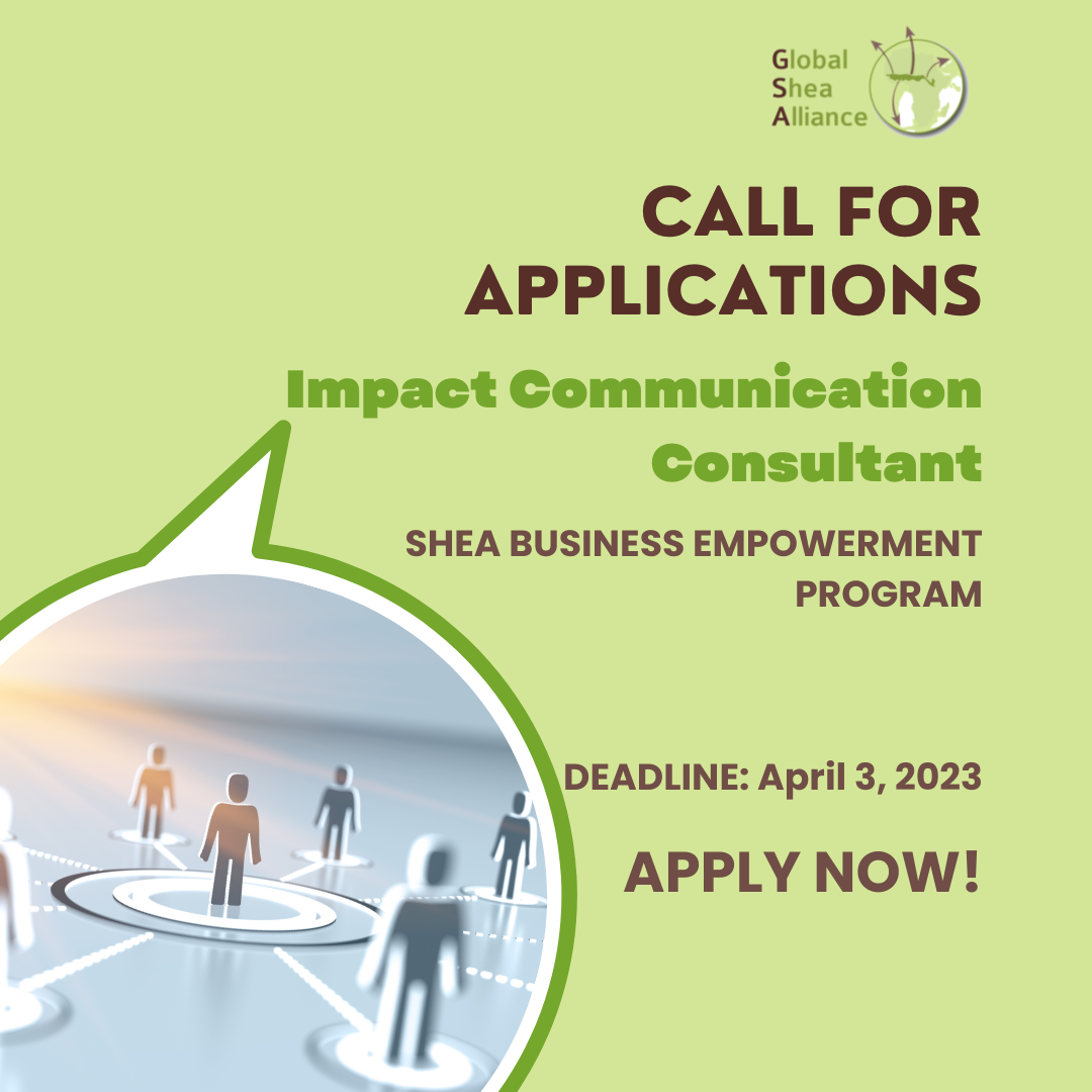 Impact Communication Consultant